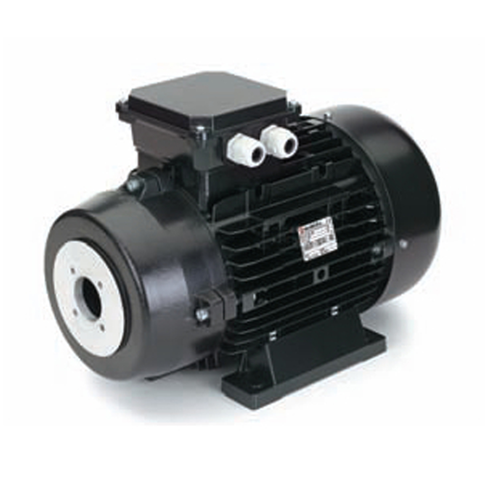 NICOLINI Double Flange Hollow Shaft Electric Motor 4-Poles 30kW 40HP 1450Rpm 400V/690V (Black)